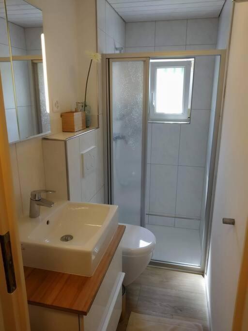 Bijou 1 Huebsche 1 Zimmer Wohnung Herisau Exteriör bild